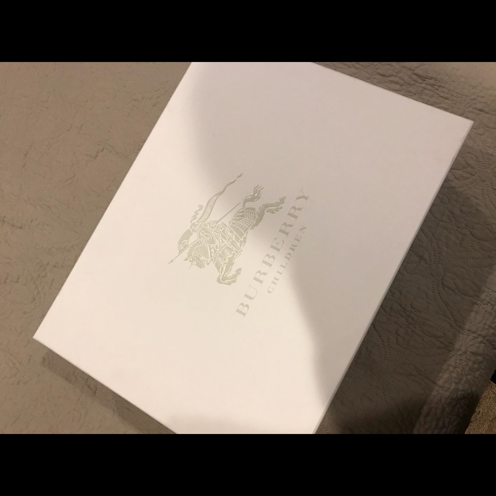 Large burberry box